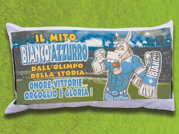 CUSCINO MAXI 80x40 BIANCO E AZZURRO