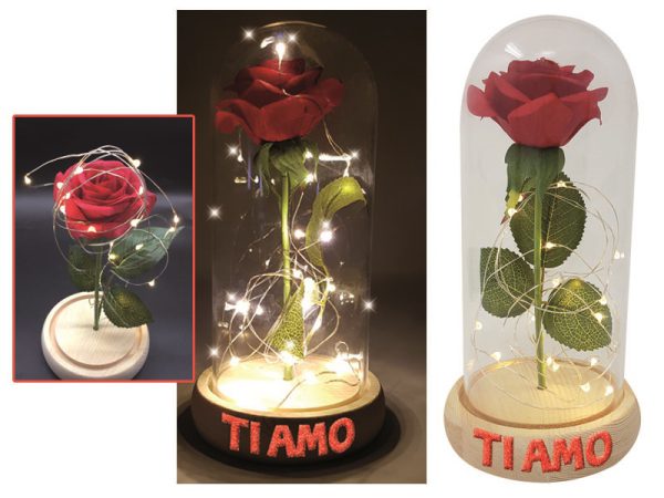 LAMPADA 20 LED "LA BELLA E LA BESTIA" CON APPLICAZIONE GLITTER. . . . . . * * * ***FUORI CATALOGO*** * * *. . . . . . * * * ***PROMOZIONE SCONTO 20%*** * * *
